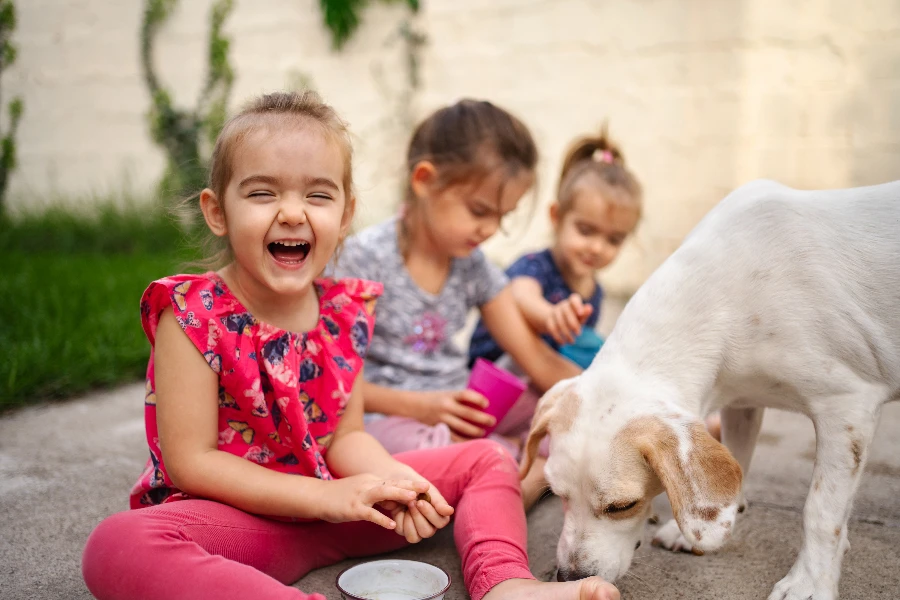 Uśmiechnięte dziewczynki bawiące się z psem na świeżym powietrzu w Radomiu