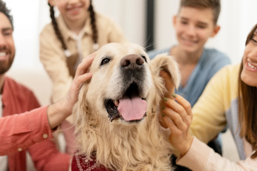 Rodzina spędzająca czas z psem terapeutycznym w Radomiu